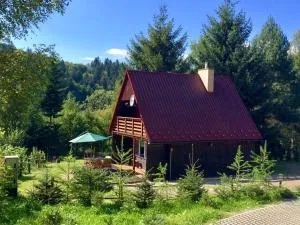 Chatka pod Świerkami - Bystre
