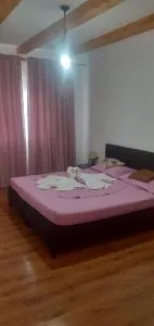 Casa Cristian - Dubova - 杜博瓦乡