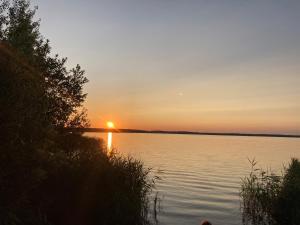 Gemütliches Ferienhaus 70qm mit Garten Sitzecke Grill 5 Minuten zum See