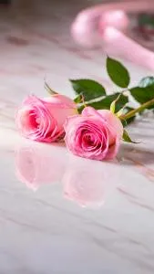 דה בסט - Bayit Wegan