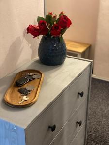 Apartmán Jáchymov Klínovec