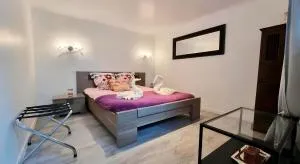 Appartement proche Disneyland - 库洛米耶