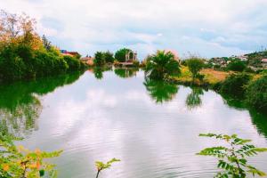 Designer home with pool near beach and village