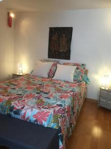 Sejours chez l'habitant Chambres de la Choisille a Fondettes st Cyr Tours : photos des chambres