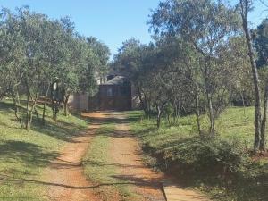 Sounds in Silence - Misty Forest Garden