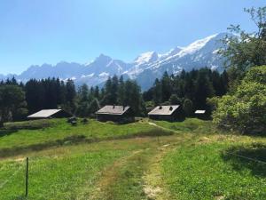 Chalets Superbe chalet 10 personnes 5 chambres Les Houches : photos des chambres