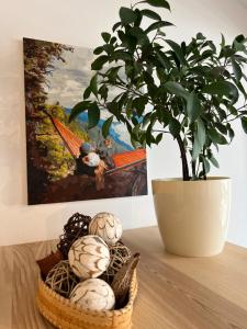 FeelHome Apartment with kitchen