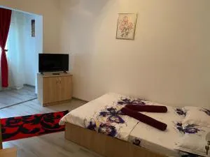 Apartament Costescu - Godeanu