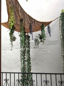 Appartements Appartement Saint Jean 2 Cosy et Confort : photos des chambres