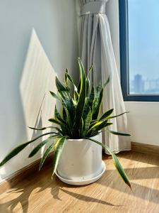 One bedroom in Vinhomes GreenBay Hanoi