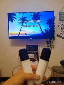 Mamby Grays Place Balcony, Karaoke ,Wifi,Netflix &Kitchen