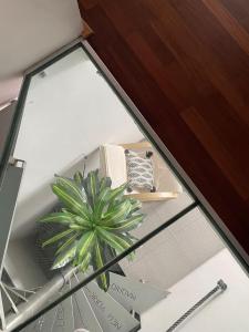 Apartment Bella Vita 
