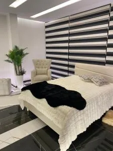 Mike studio verdun - Sidon