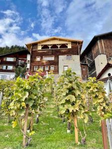 Spacious 3 bedroom Chalet near Flims
