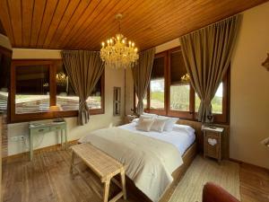 Touristic Ballonga Horses