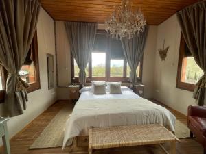 Touristic Ballonga Horses