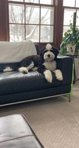 The Loft on Gillis AC Downtown Beach Rooftop