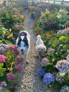 Furthest Point West - Doonloughan Furthest Point West - Doonloughan