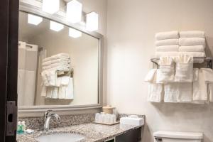 King Room - Non-Smoking room in Quality Inn Milan-Sandusky