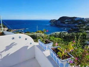 Maridea - Acquamarina - Arcipelago Ponziano