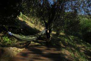 Casa Giusti - Vellano, Pescia, Pistoia