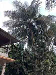 Sadhana Homestay - Revadanda