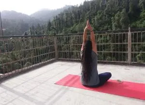 Happy Homestay - Banikhet