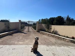 B&B / Chambres d'hotes Mas Galinette : photos des chambres