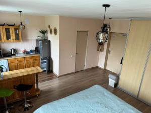 Aizkraukles studio tipa dzīvoklis