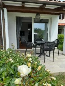Apartament Sanja Novigrad - Dajla