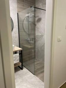 Luxury apartment Sofia 2