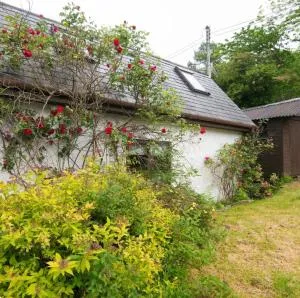 The Bunkie - Carnach