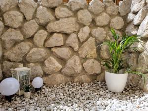 Appartment im Untergeschoss