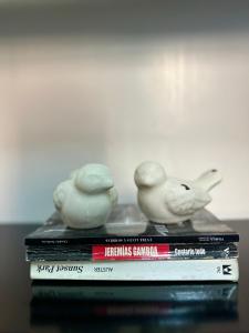 Buenos Aires, Recoleta, Capital Federal