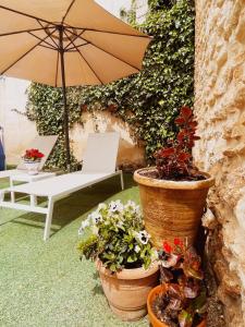 Casa rural LA PEDANIA