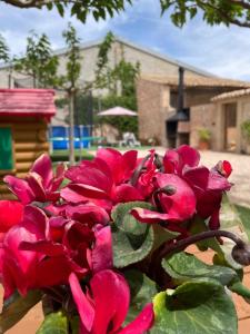 Casa rural LA PEDANIA