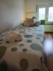 Apartman L&V sa dvorištem i hidromasažnim bazenom 