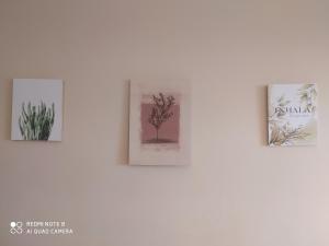 Real State Centro CDE