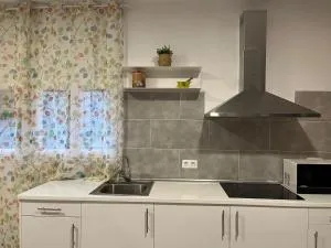 Apartamentos Manu - Codo