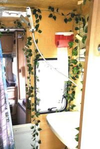 Motorhome Experience