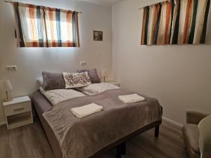 Budget Double Room room in Húsid Guesthouse