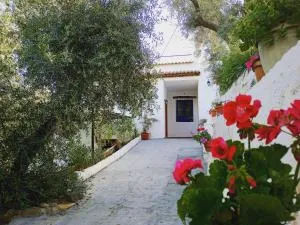 Cortijo Rural Al-Andalus con Piscina - 奥尔希瓦