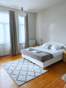 Cute central flat in Brussels