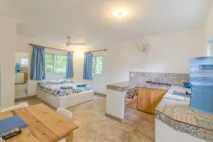 Mango House Downwind studio - Cabarete