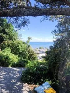 Beach Getaway Studio Matakatia/Tindalls - 旺阿帕劳阿