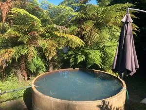 Whare&geothermal pool by lake Taupo - Tokaanu