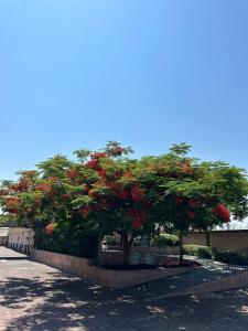 Hotel Oliver Inn - Business Class