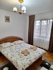 Pensiunea Casa Ancuta