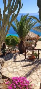 Palma Dello Zingaro - Scopello