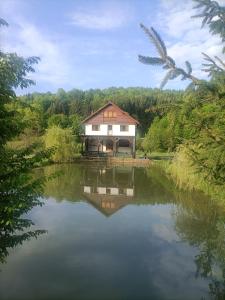 Cabana Țibleș Bichigiu